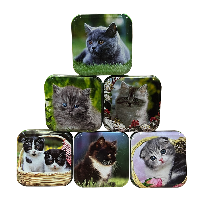 Монпансье "Котята" 60г/ТВМ 2001